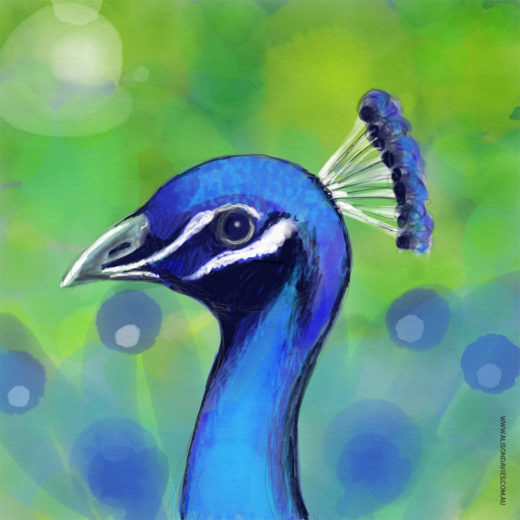 Illustration of the neighbourhood peacock